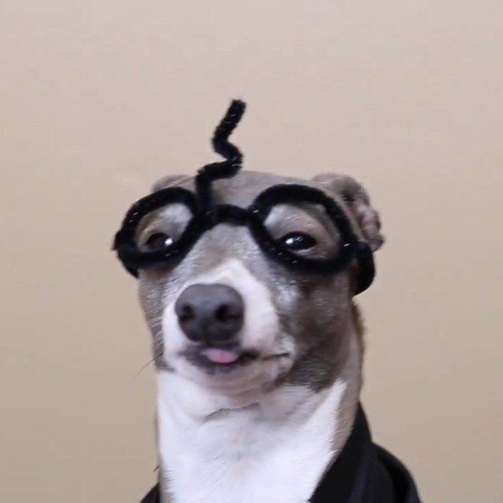 Meet your Posher, Caroline